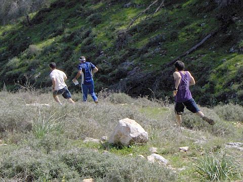 ניווט המשלב כתב חידה ושאלות טריוויה