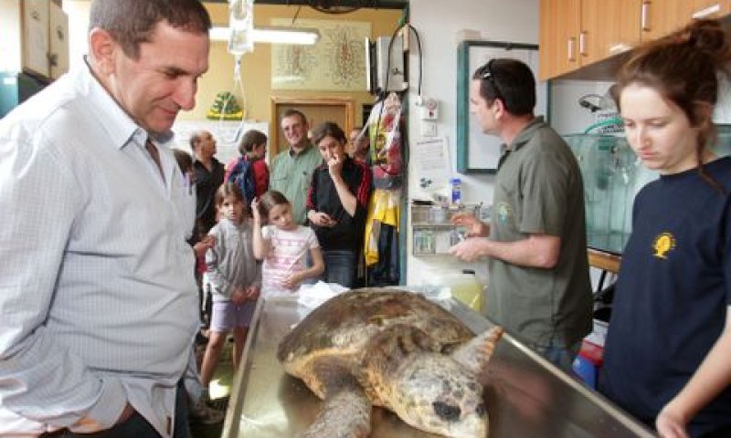 יפתח רון-טל, יו"ר דירקטוריון חברת החשמל ליד הצב הפגוע [צילום: יוסי וייס - דוברות חברת החשמל]