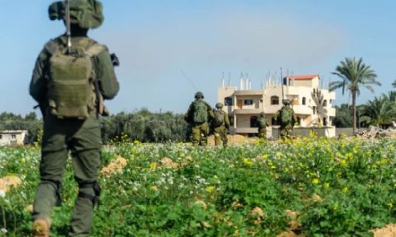 [צילום: דובר צה"ל]