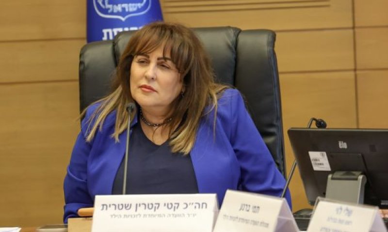 שטרית. "הטיפולים אינם מותרות" [צילום: דני שם-טוב/דוברות הכנסת]
