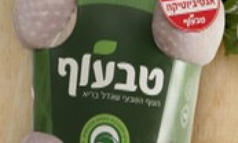 [צילום: יח"צ]