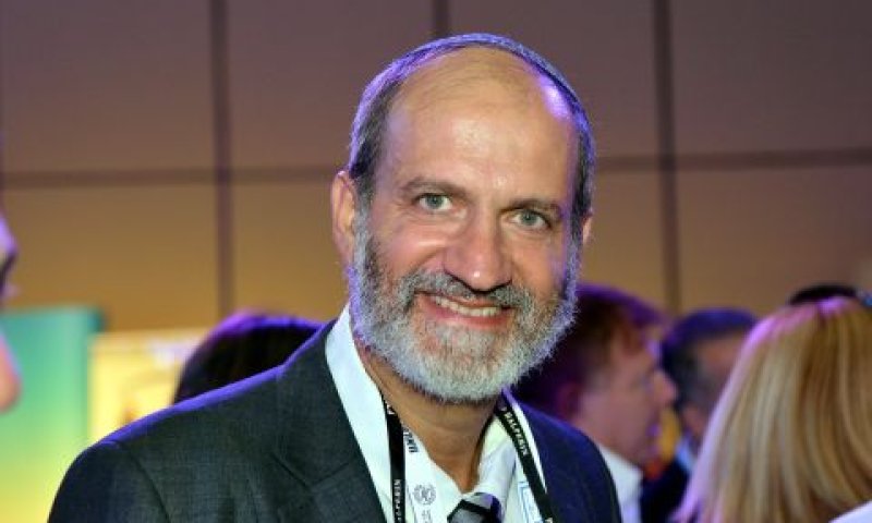 קליין. סמכות טבועה [צילום: יוסי זליגר]