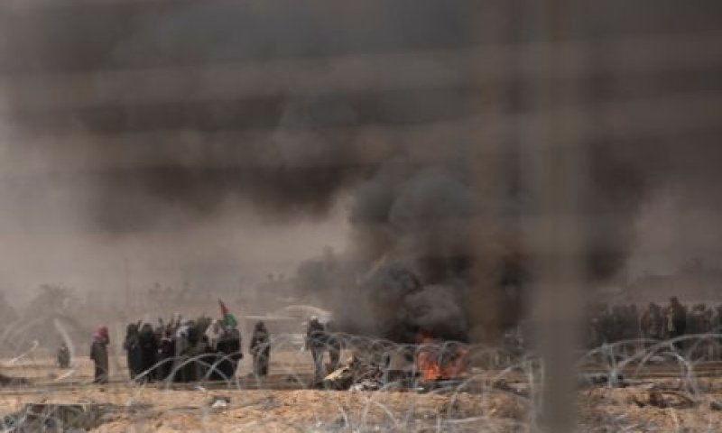 מתפרעים על הגדר [צילום: דובר צה"ל]