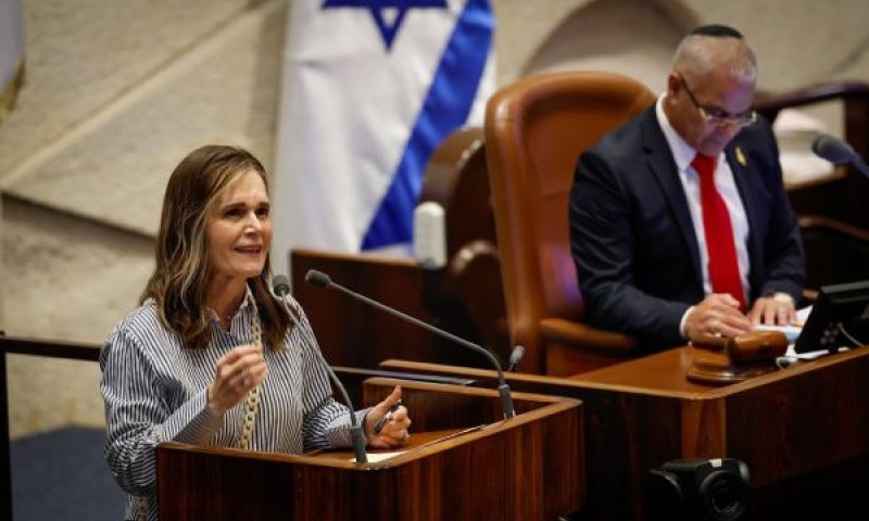 וולדיגר. בוטלה מגבלת הגיל להורי אומנה [צילום: נועם מושקוביץ/דוברות הכנסת]