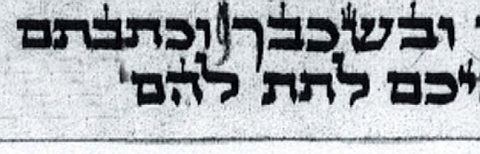 הפרשה הפסולה. במקום המסומן בקו חסרה המילה "ובקומך" [צילום: באדיבות עיתון "המודיע"]