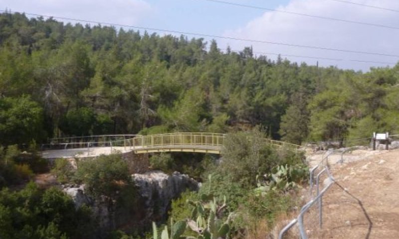[צילום: ערן געש]