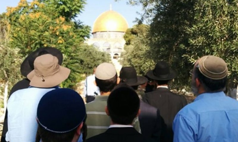 ללא שומרים מטעם הוואקף [צילום: ארנון סגל]