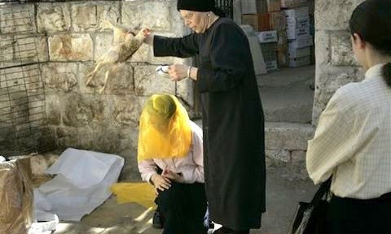 פגיעה בזכות להיבחר [צילום אילוסטרציה: AP]