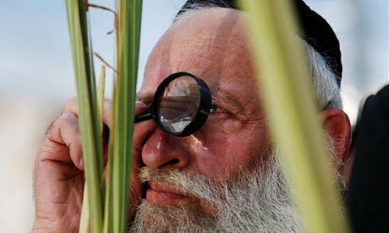 בדיקת לולב [צילום: AP]