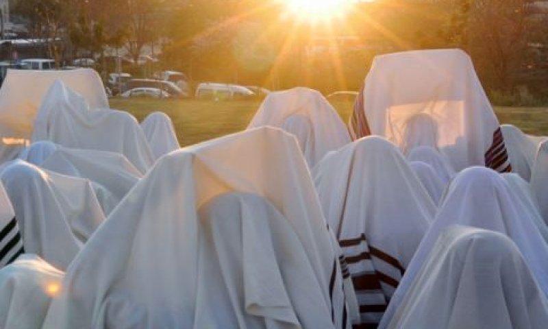 ברכת החמה בירקון (2009) [צילום: פלאש 90]