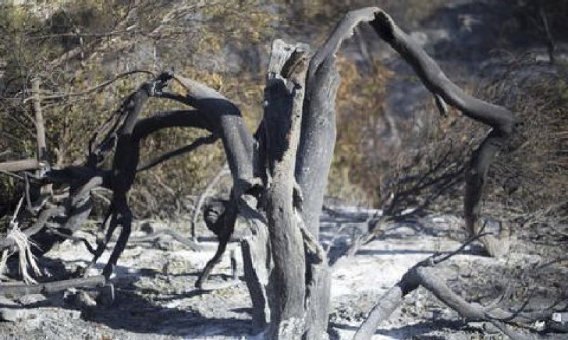 סיכוי לזיהום בים [צילום: אריאל שליט/AP]