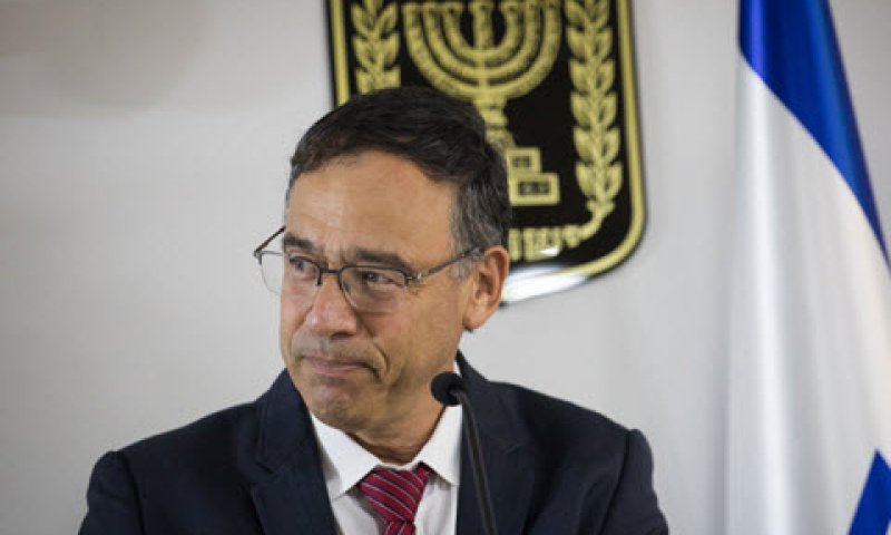 ניצן. [צילום: הדס פרוש, פלאש 90]