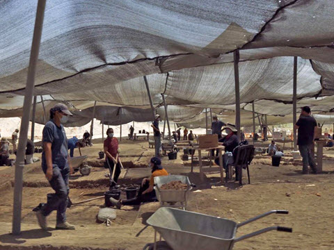 חפירת רשות העתיקות ביבנה [צילום: אמיל אלג'ם, רשות העתיקות]