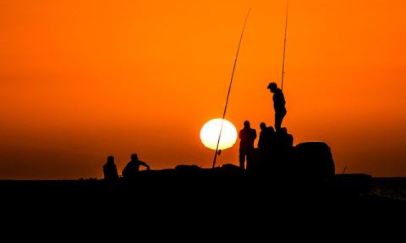דייגים בענף ההולך ונעלם [צילום: עבד אל-רחים חטיב/פלאש 90]