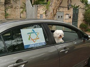 ההכנסות ממכירתם - קודש לפרויקטים למען ילדים בסיכון