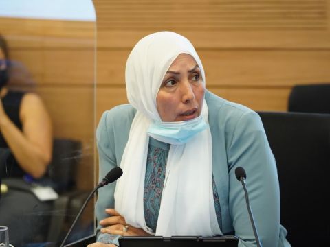 [צילום: דני שם-טוב/דוברות הכנסת]