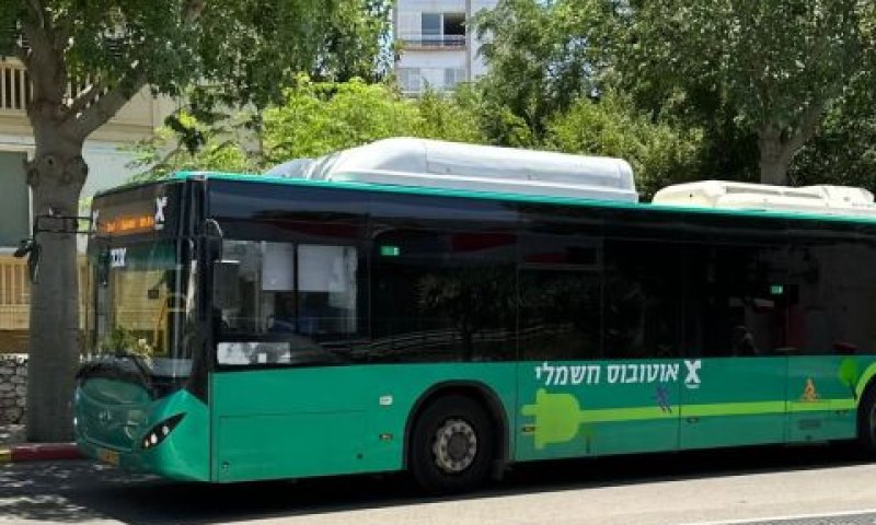 קו פתלתול אחד הפך לשלושה [צילום: עיריית נס ציונה]