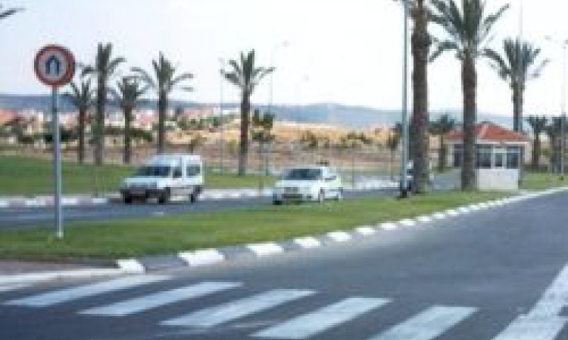 לבן כשלג [אתר מועצת להבים]