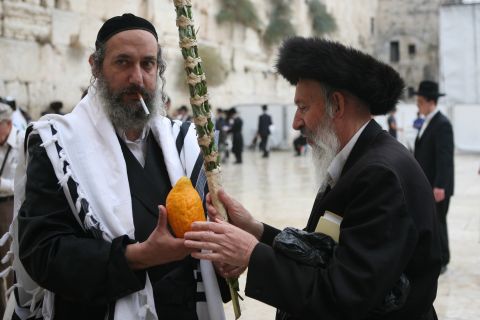 [צילום: פלאש 90]