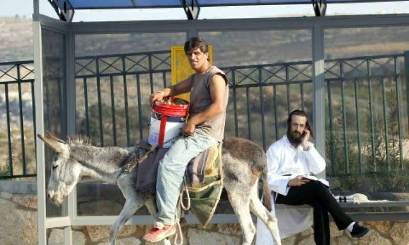לשנה הבאה בירושלים הסלולה. מסלול לחמור, לסוס ולגמל [צילום: פלאש 90]