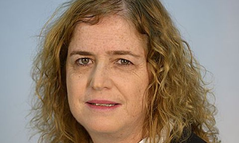 בן-ארי שווקי. "זה משגע אותי"