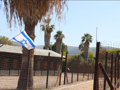 עתלית. גדרות משמר שמירה [צילום: בתיה דורי]