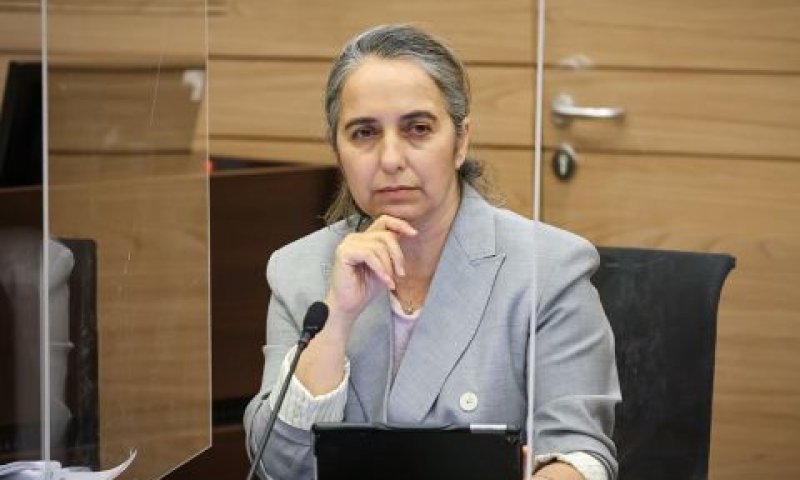 ענת גואטה [צילום: נועם מושקוביץ/דוברות הכנסת]