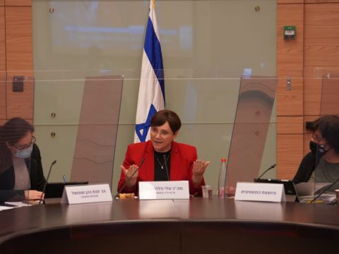 ח"כ טלי פלוסקוב [צילום: דני שם-טוב/דוברות הכנסת]