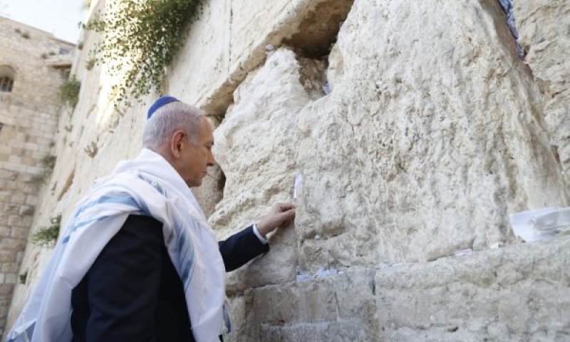 [צילום: זיו קורן]