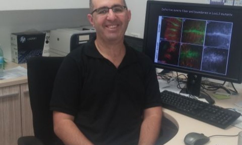 פרופ'-משנה פלג חסון מהפקולטה לרפואה ע"ש רפפורט בטכניון [צילום: דוברות הטכניון]