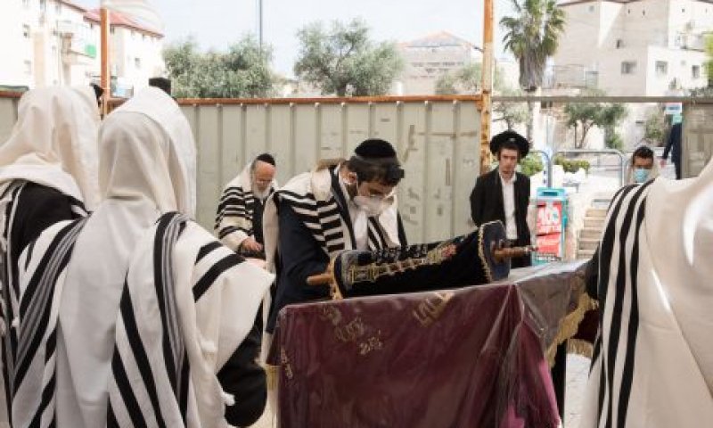 [צילום: נתי שוחט, פלאש 90]