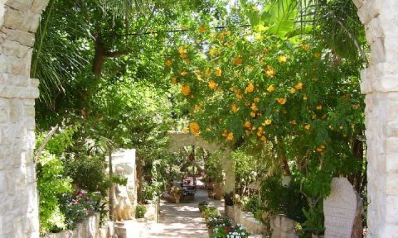 ג'וליס. המועצה הייתה חייבת לפעול