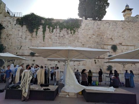 [צילום: דותן גואטה]