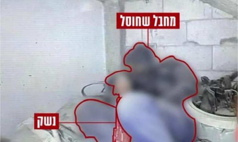 תרשים החיסול