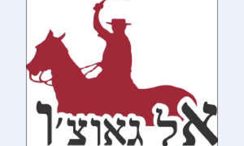 [צילום: יח"צ]
