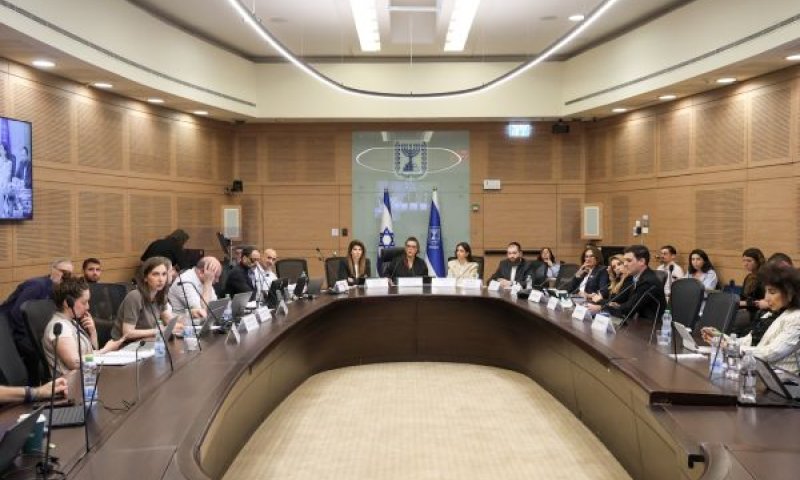 סמכויות השר ומבנה המועצה במוקד [צילום: דני שם-טוב/דוברות הכנסת]
