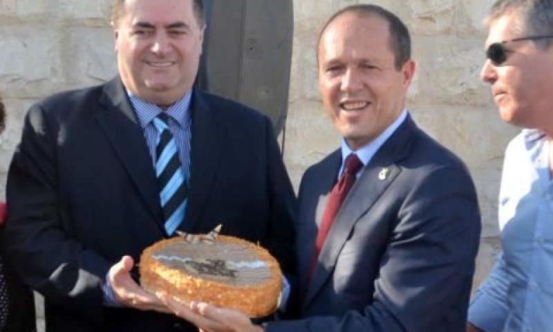 עוגה חגיגית [צילום: ג'קי לוי]