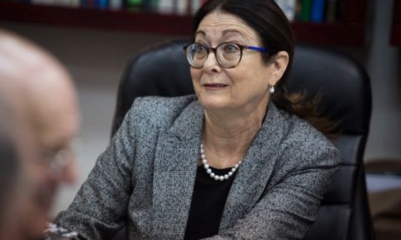 חיות. "בוקר שאינו פשוט" [צילום: הדס פרוש, פלאש 90]