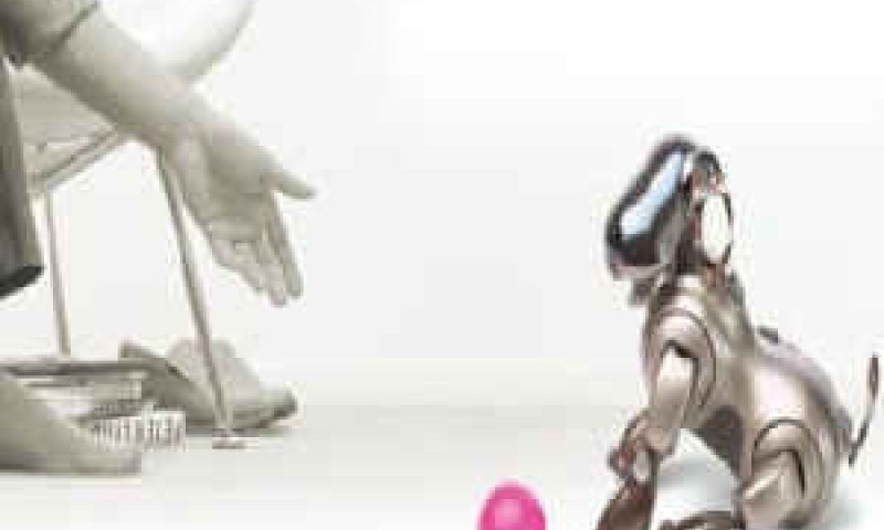 [צילום: Sony Official Site]