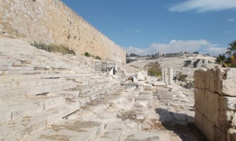 להפיח חיים בגן הלאומי