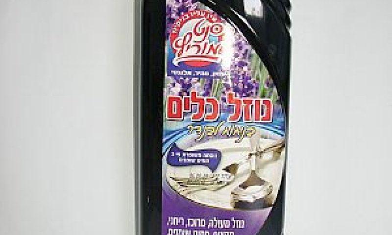 [צילום: יח"צ]