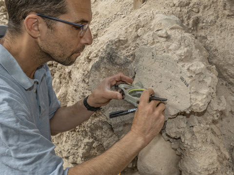 יואב וקנין, מאוניברסיטת תל אביב, מבצע מדידות באתר [צילום: שי הלוי, באדיבות רשות העתיקות]
