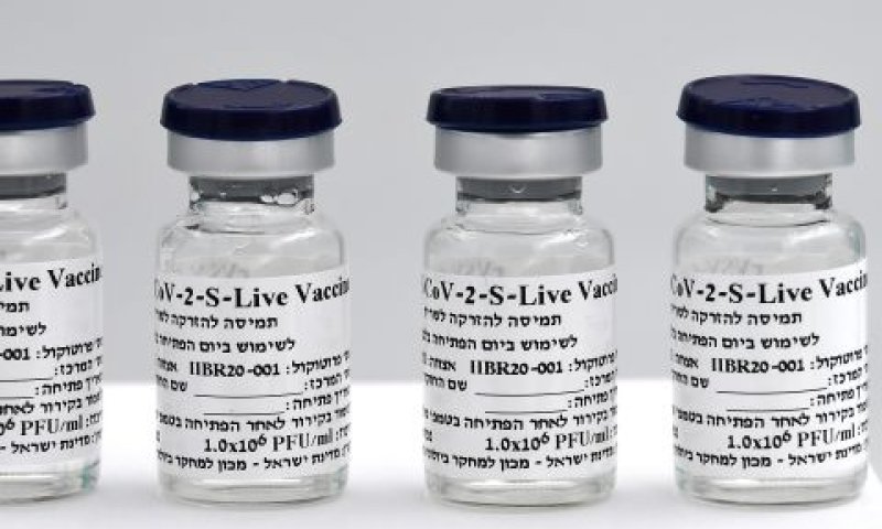 חיסוני המכון הביולוגי. תוצאות - בעוד כמה חודשים [צילום: משהב"ט והמכון למחקר ביולוגי]