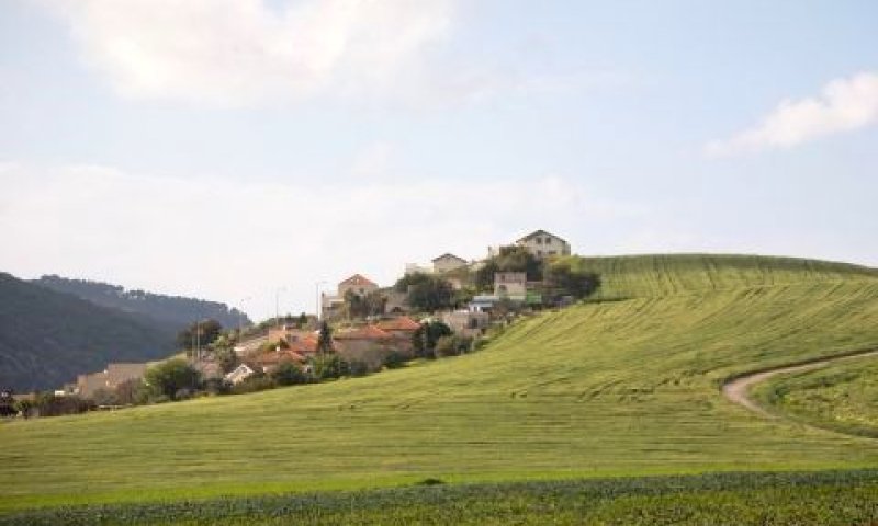 קריית טבעון. הרפורמה מגיעה [פלאש 90]