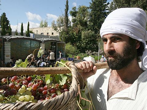 [צילום: פלאש 90]