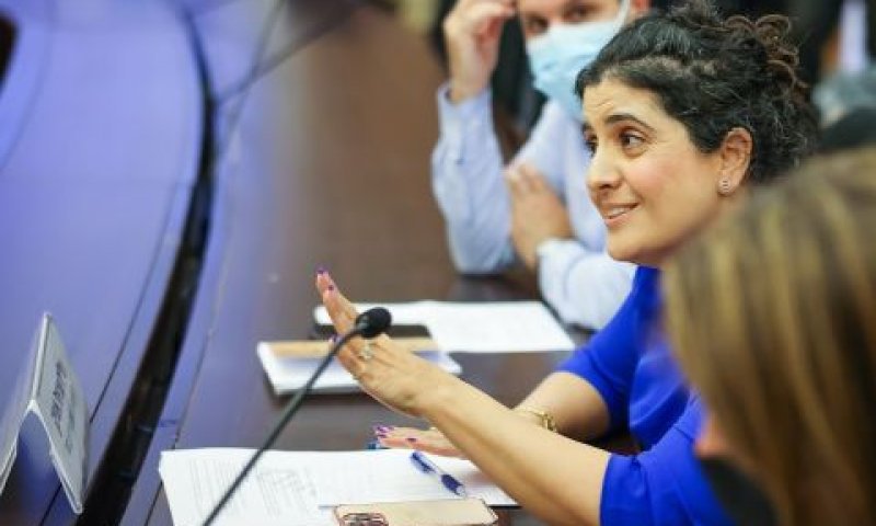 עו"ד שגית אפיק [צילום: נועם מושקוביץ/דוברות הכנסת]
