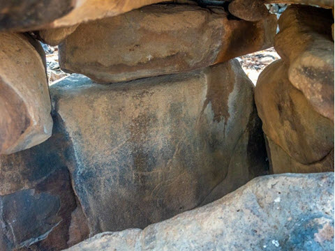 חרותות החיות בדולמן בשמורת טבע יהודיה [צילום: יניב ברמן רשות העתיקות]