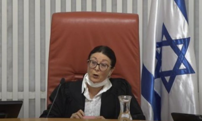 חיות. הנסיבות הספציפיות [צילום: לע"מ]