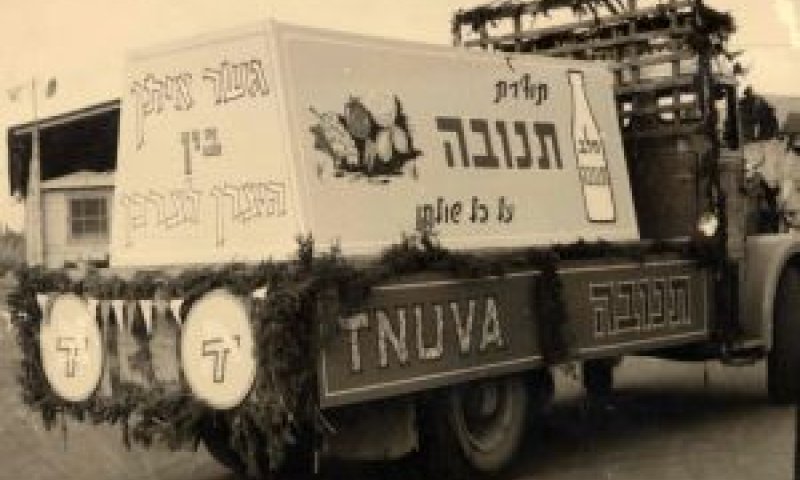 [צילום: יח"צ]