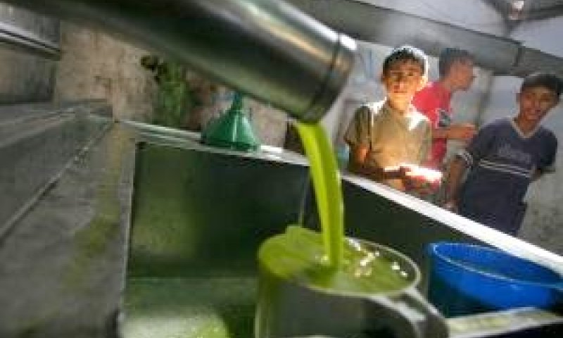 תעשיה משומנת של רמייה [פלאש 90]